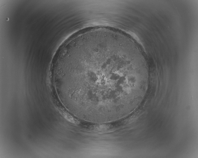 X0000074970879200609011213