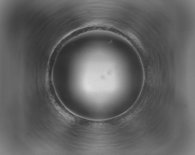 X0000074970880200609011213