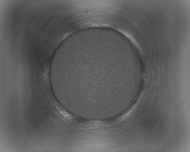 X0000074970881200609011213