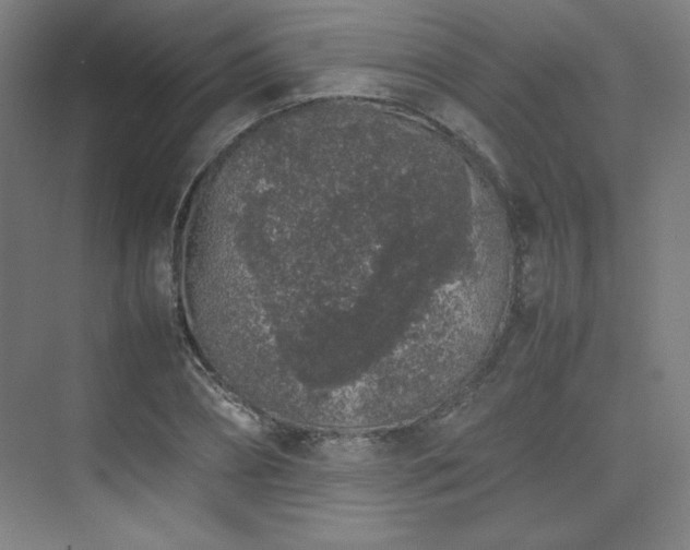 X0000074970882200609011213