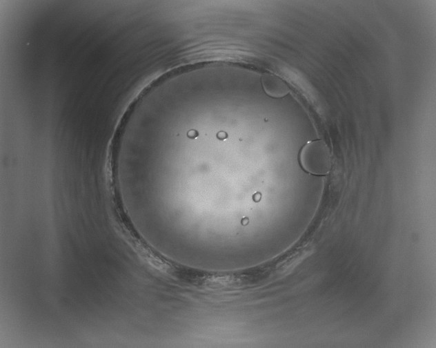 X0000074970883200609011213