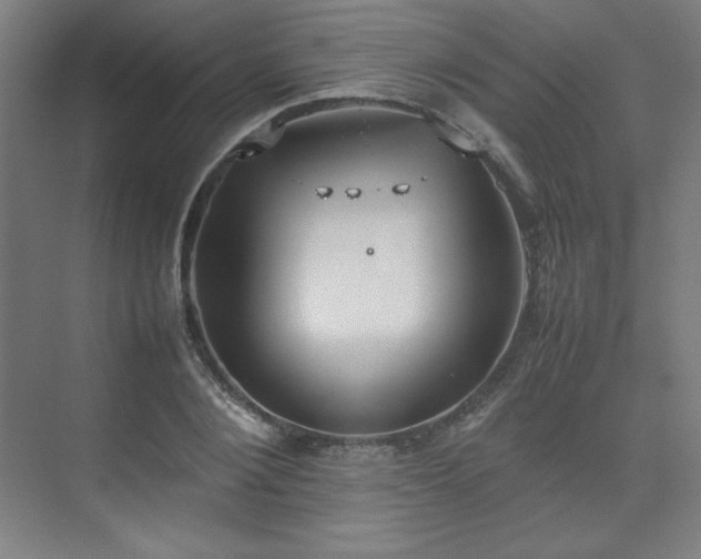 X0000074970884200609011213