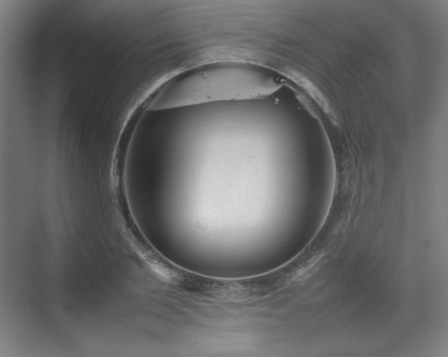 X0000074970885200609011213