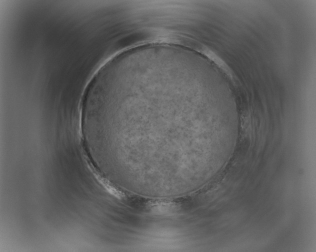 X0000074970886200609011213