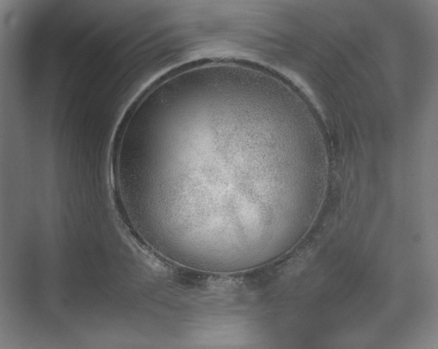 X0000074970887200609011213