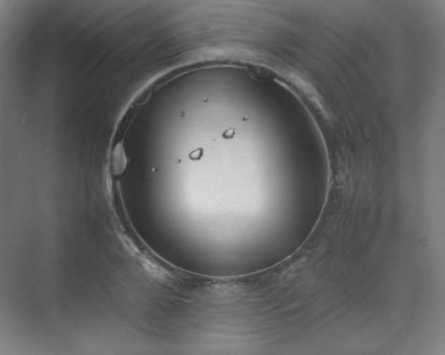 X0000074970888200609011213