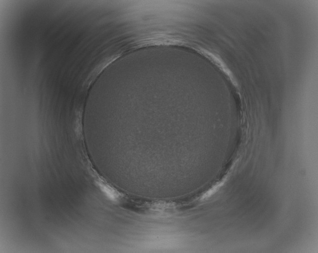 X0000074970889200609011213