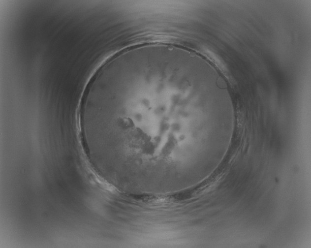 X0000074970891200609011213