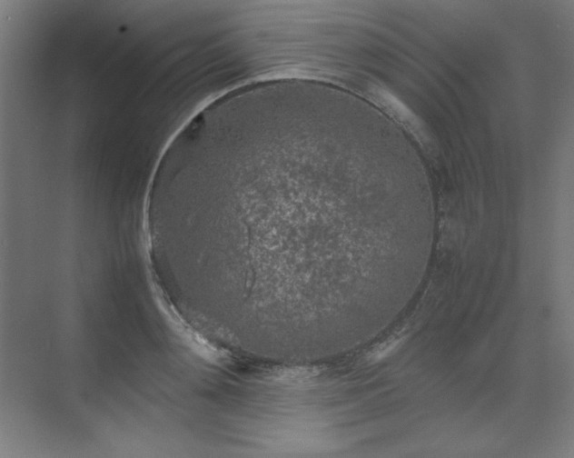 X0000074970892200609011213