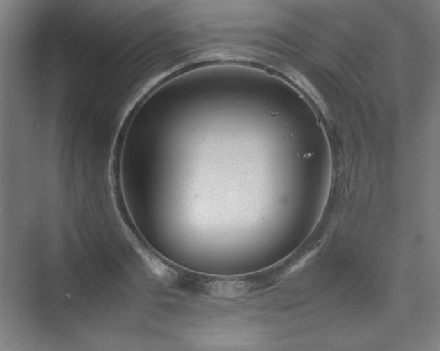 X0000074970893200609011213