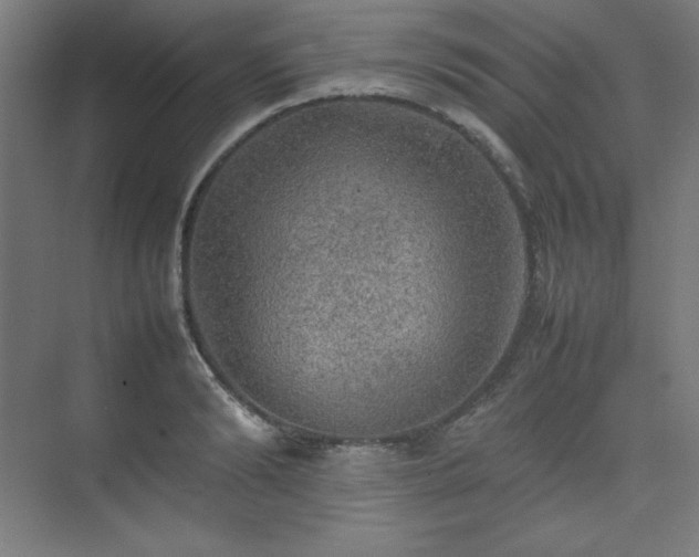 X0000074970894200609011213