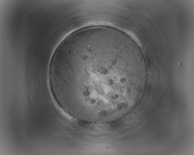 X0000074970895200609011213