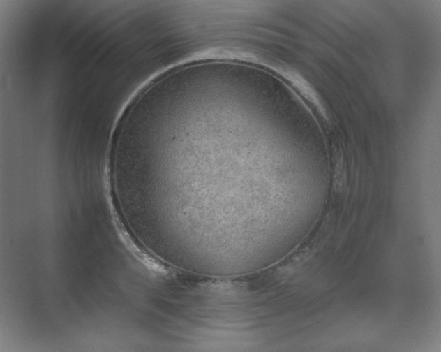 X0000074970896200609011213