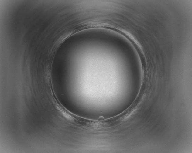 X0000074970897200609011213