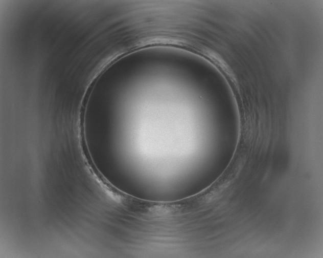 X0000074970898200609011213