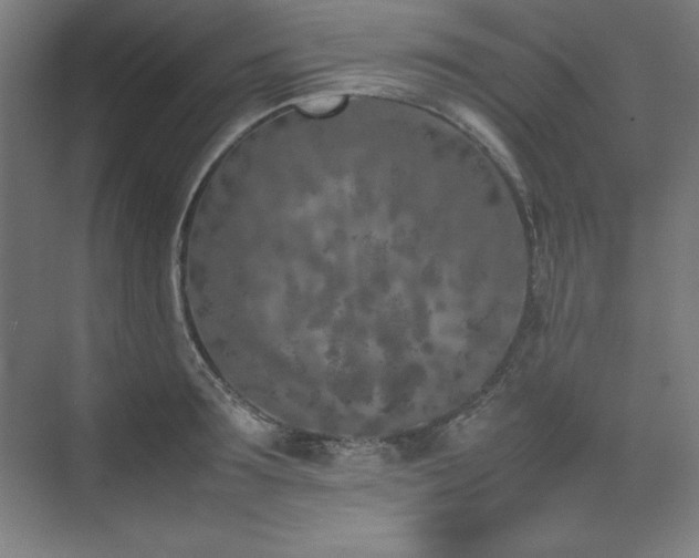 X0000074970899200609011213