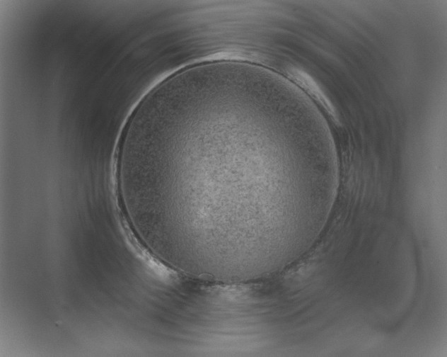 X0000074970900200609011213