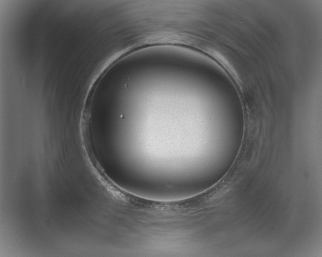 X0000074970901200609011213