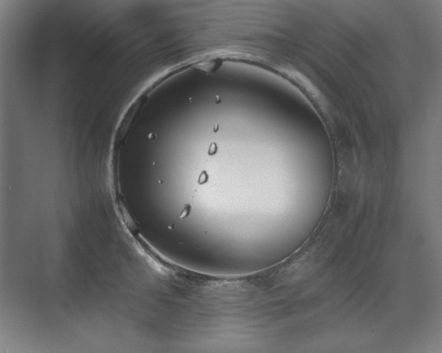 X0000074970902200609011213