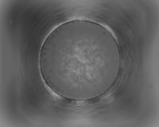 X0000074970903200609011213