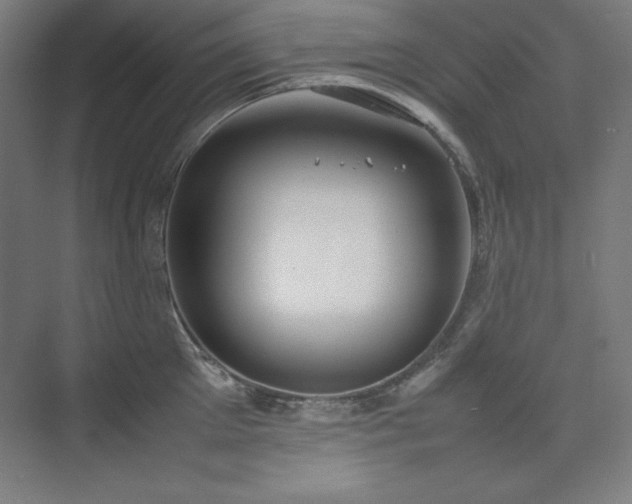 X0000074970905200609011212