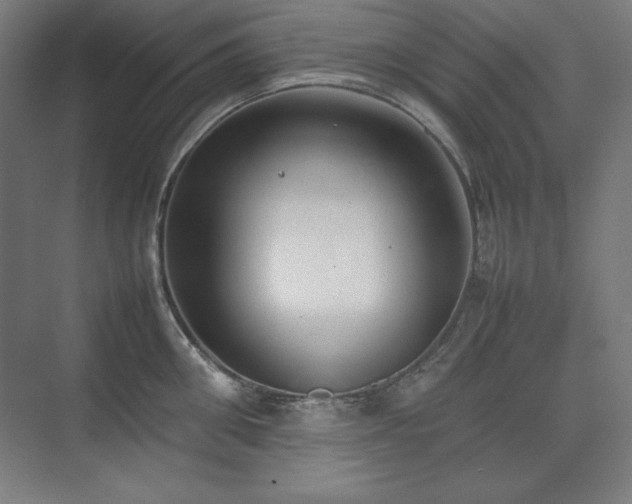 X0000074970906200609011212