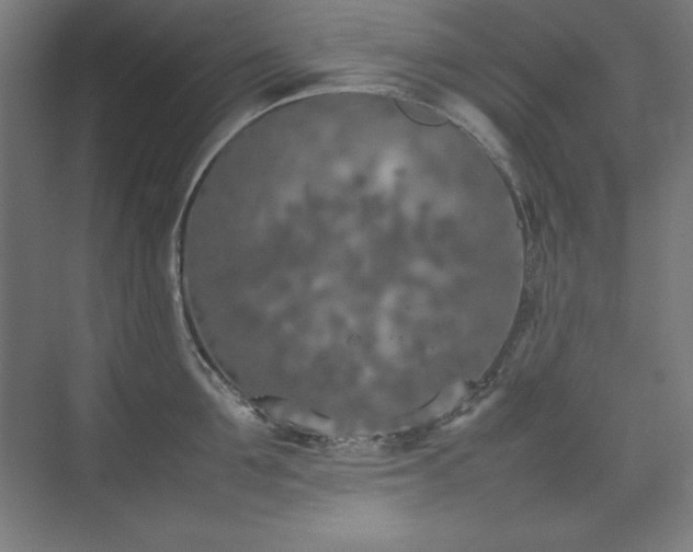 X0000074970907200609011212