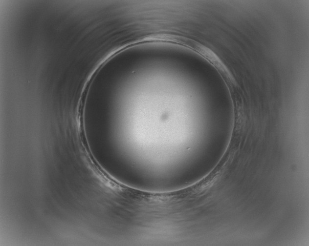 X0000074970908200609011212