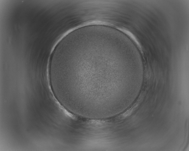 X0000074970910200609011212