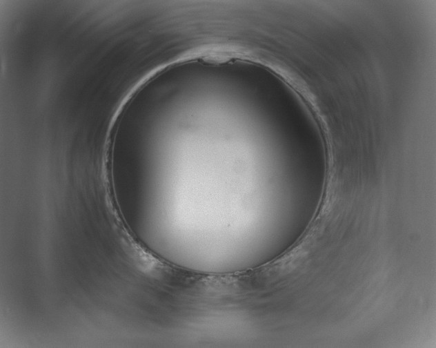 X0000074970912200609011212