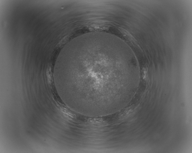 X0000074970915200609011212