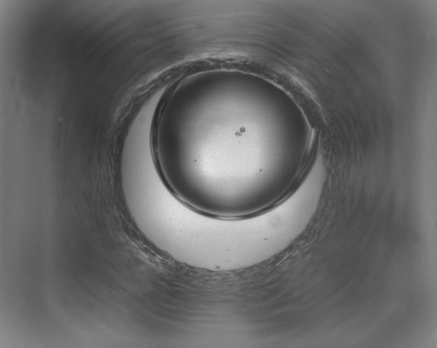 X0000074970920200609011212