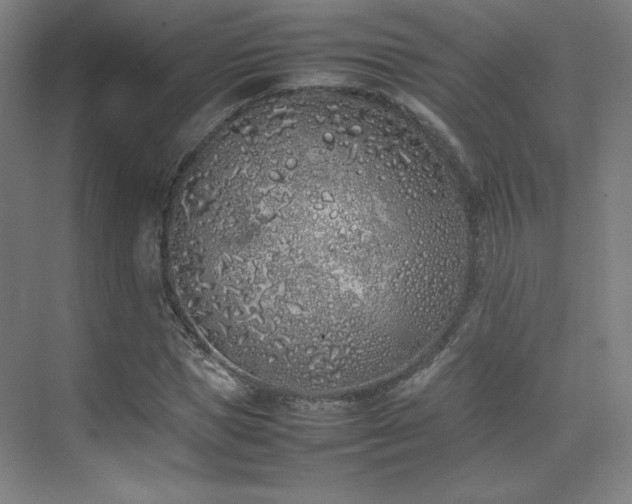 X0000074970921200609011212