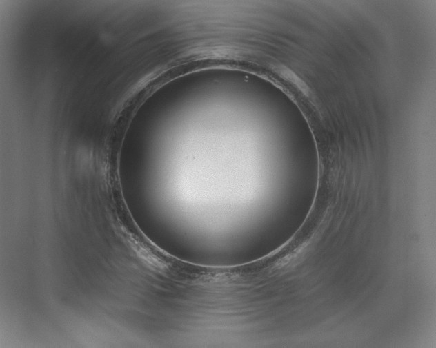 X0000074970922200609011212