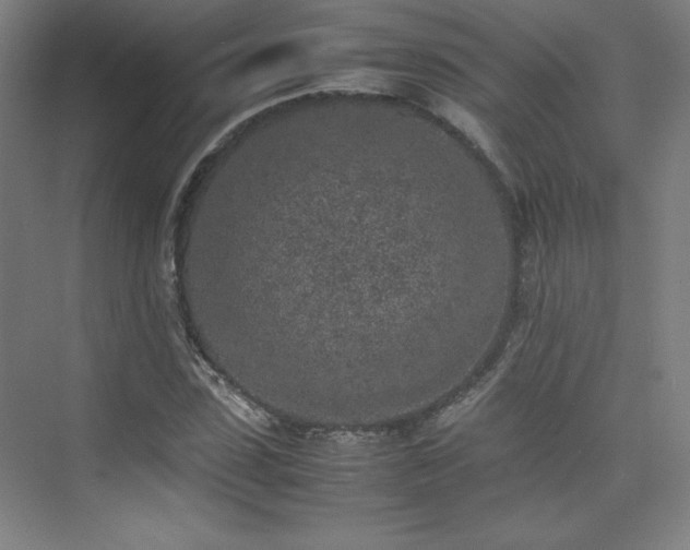 X0000074970923200609011212