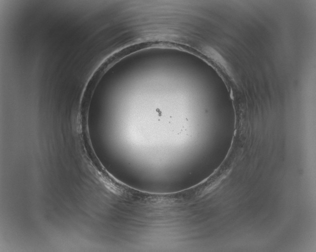 X0000074970924200609011212