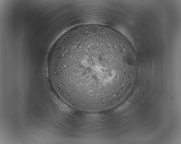 X0000074970925200609011212