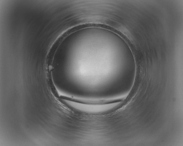 X0000074970926200609011212