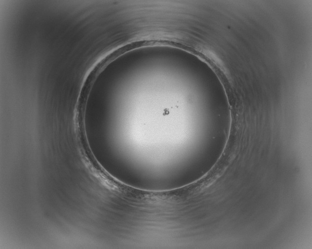 X0000074970928200609011212