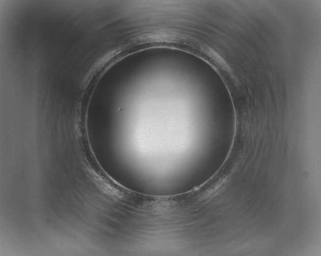 X0000074970930200609011212