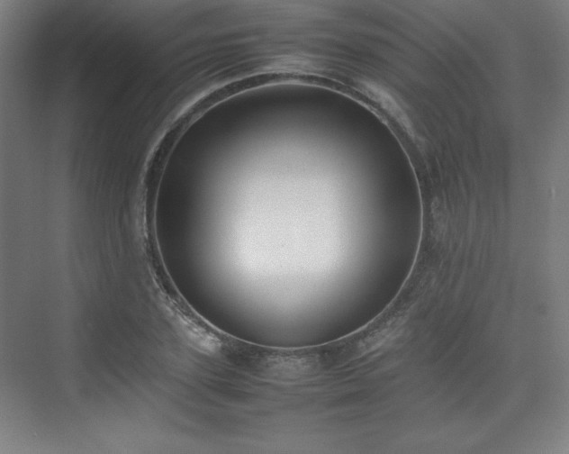 X0000074970931200609011212