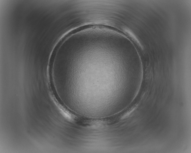 X0000074970932200609011212