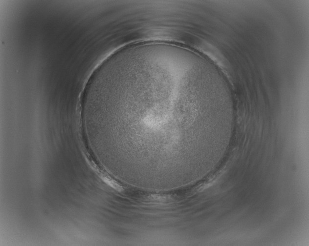 X0000074970933200609011212