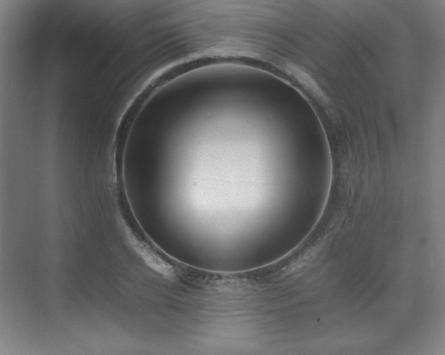 X0000074970934200609011212