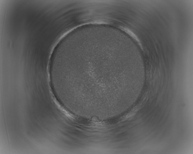 X0000074970935200609011212