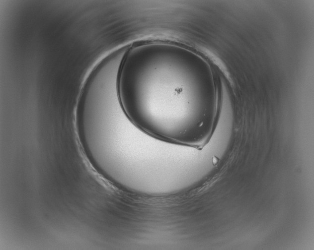 X0000074970936200609011212