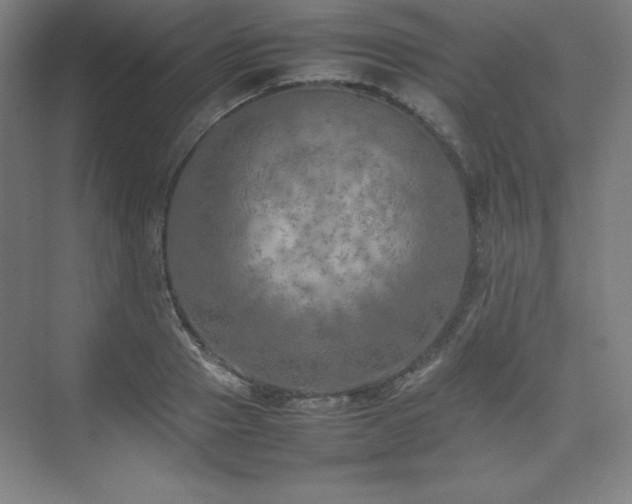 X0000074970937200609011212