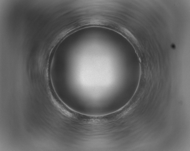 X0000074970938200609011212