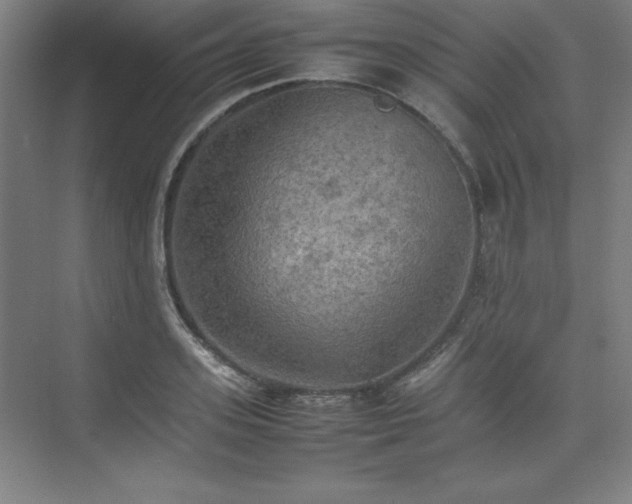 X0000074970939200609011212