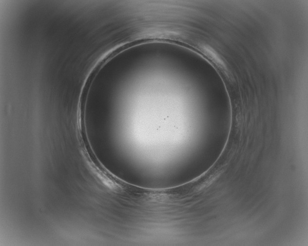 X0000074970940200609011212